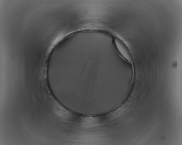 X0000091961459200710041018