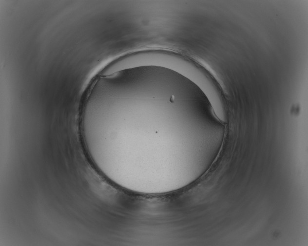 X0000091961460200710041018