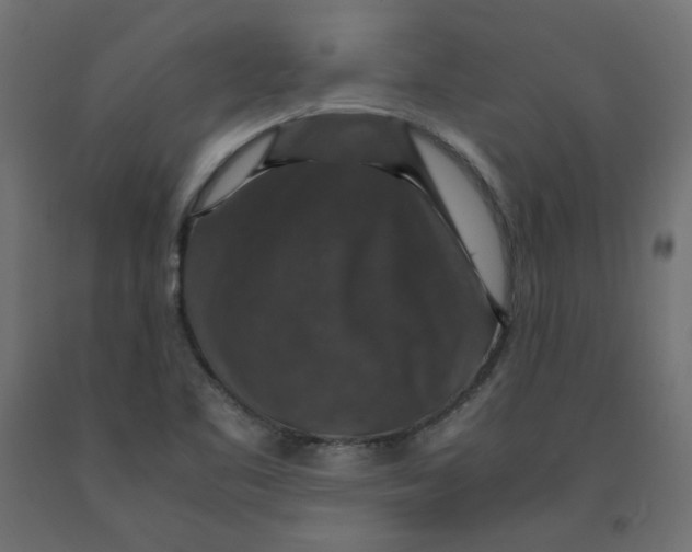 X0000091961461200710041018
