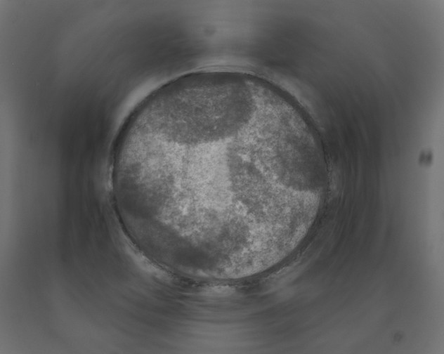 X0000091961462200710041018