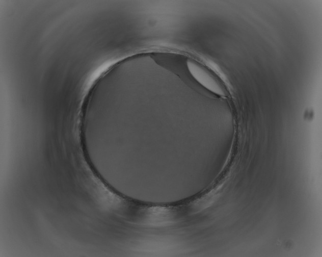 X0000091961463200710041018