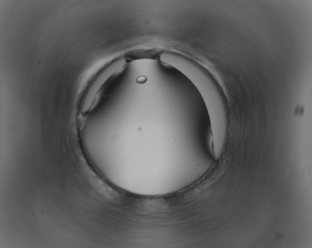 X0000091961464200710041018