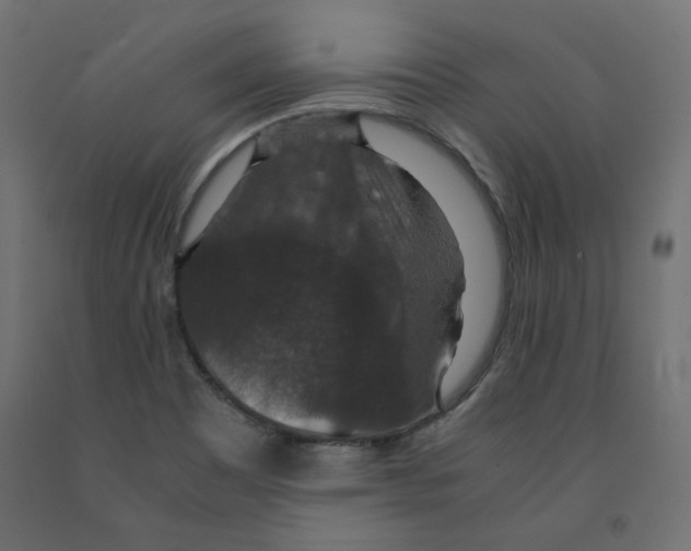 X0000091961465200710041018