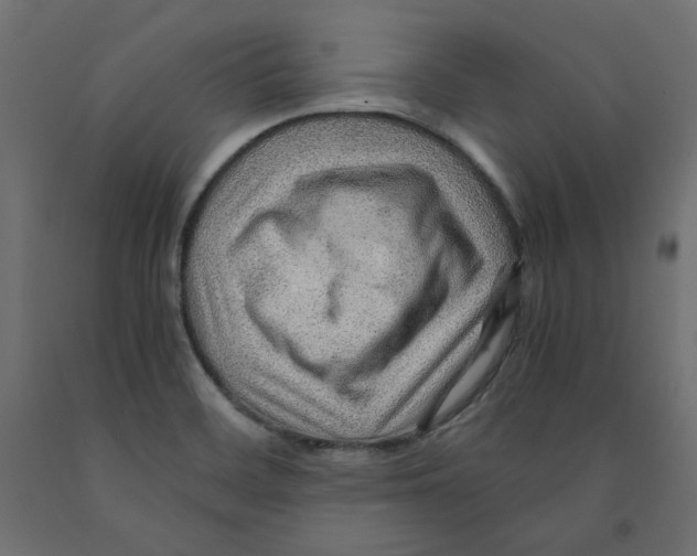 X0000091961468200710041018