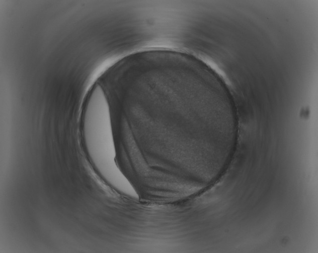 X0000091961469200710041018