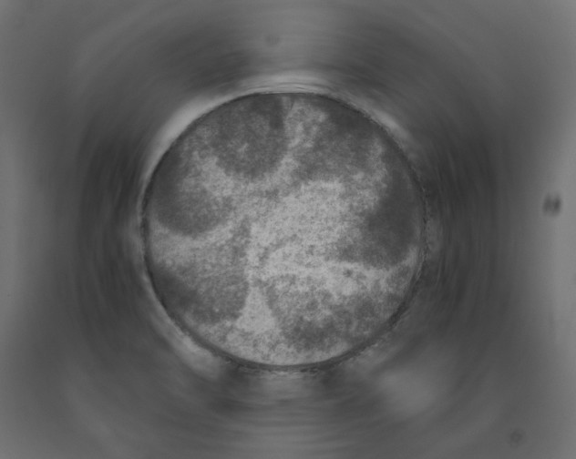 X0000091961470200710041018
