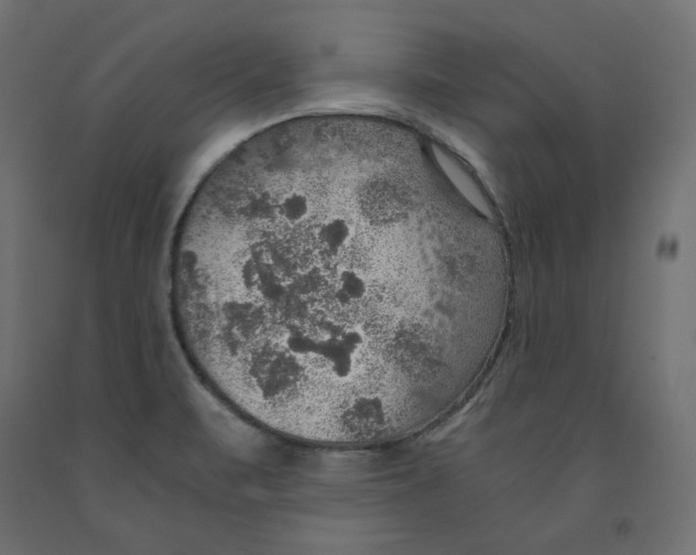 X0000091961471200710041018