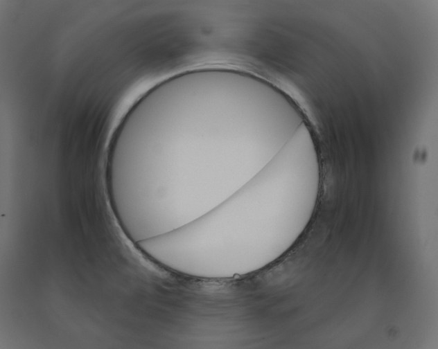 X0000091961472200710041018