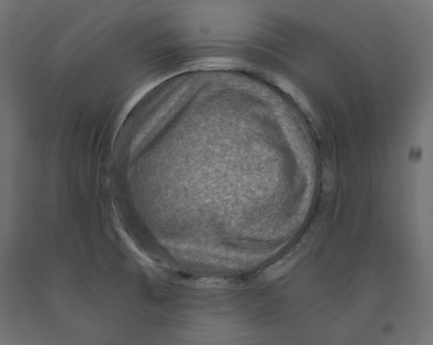 X0000091961473200710041018