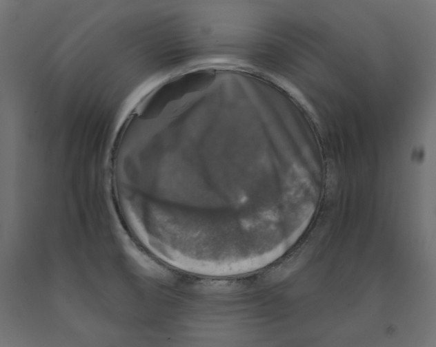 X0000091961474200710041018