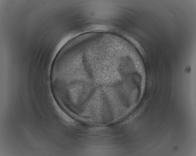 X0000091961475200710041018