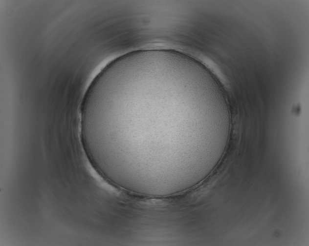 X0000091961476200710041018