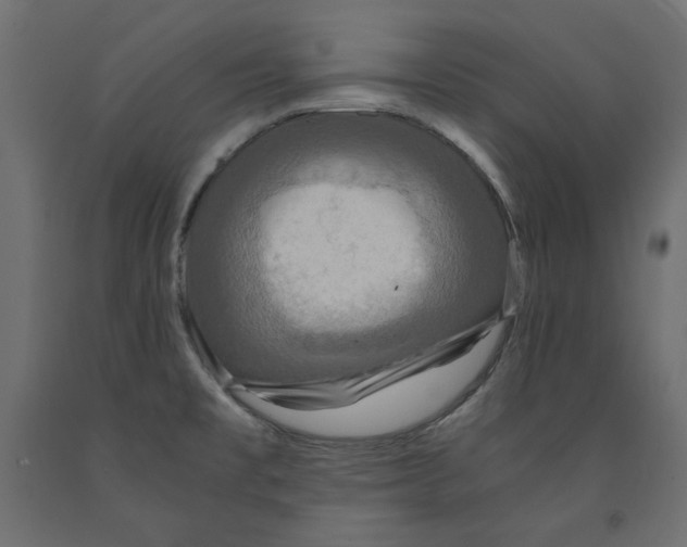 X0000091961477200710041018