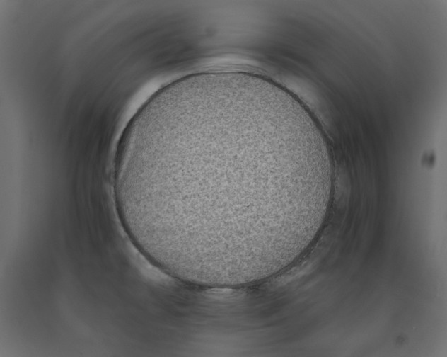 X0000091961478200710041018