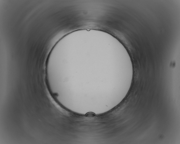 X0000091961479200710041018