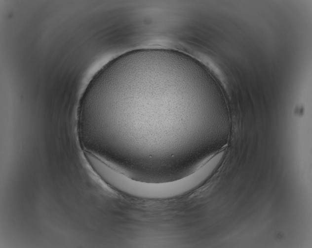 X0000091961480200710041018