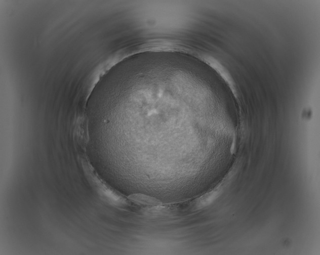 X0000091961481200710041018