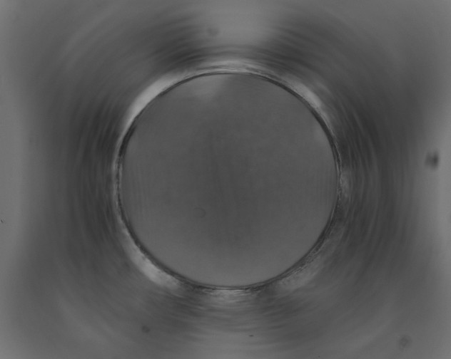X0000091961482200710041018