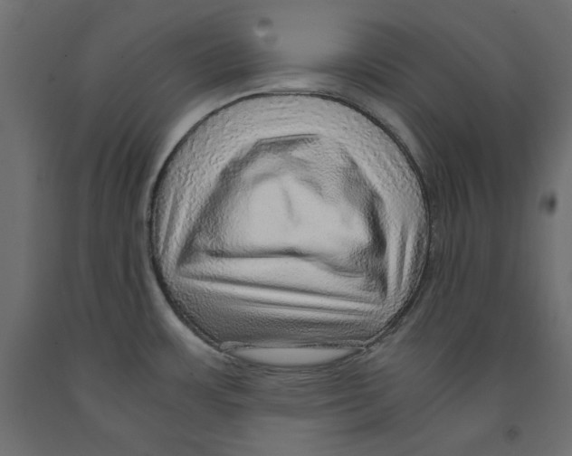 X0000091961483200710041018