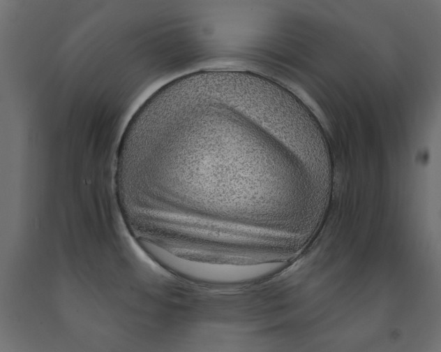 X0000091961484200710041018