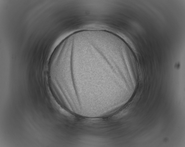X0000091961486200710041018
