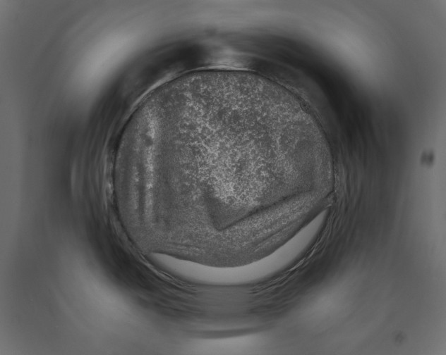X0000091961487200710041018