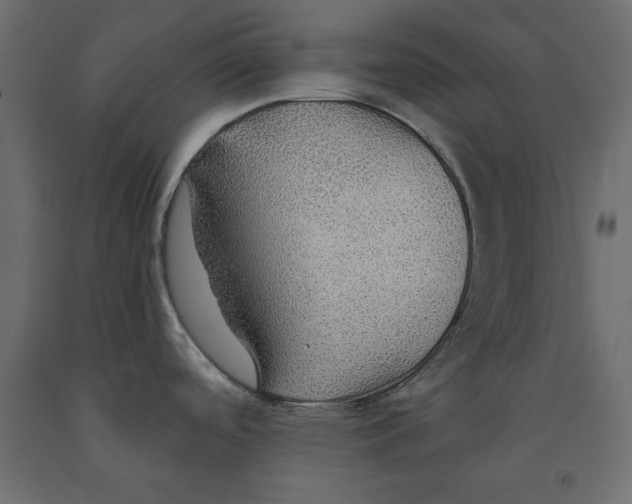 X0000091961488200710041018