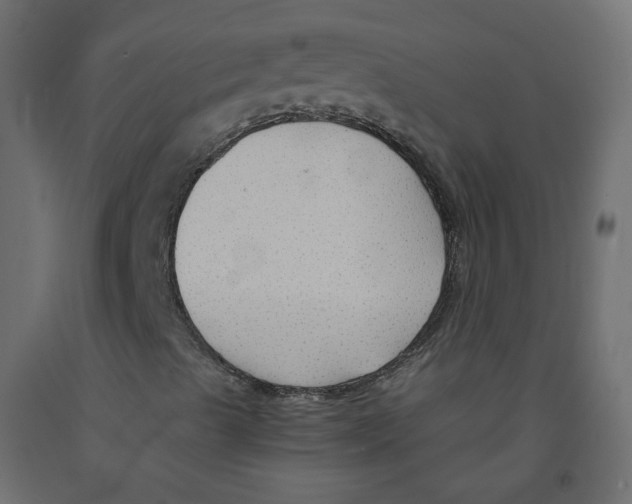 X0000091961489200710041017