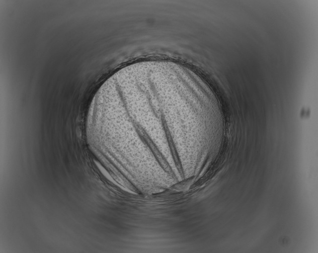 X0000091961490200710041017