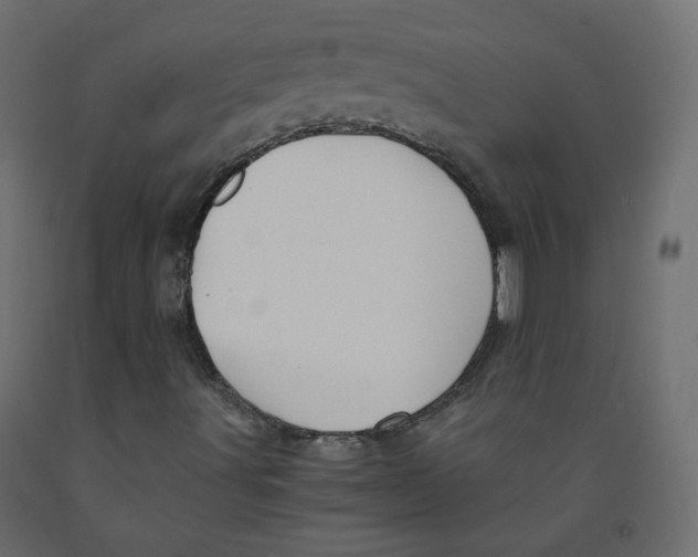 X0000091961491200710041017