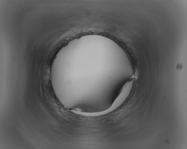 X0000091961492200710041017