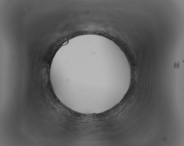 X0000091961493200710041017