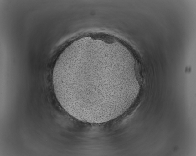 X0000091961494200710041017
