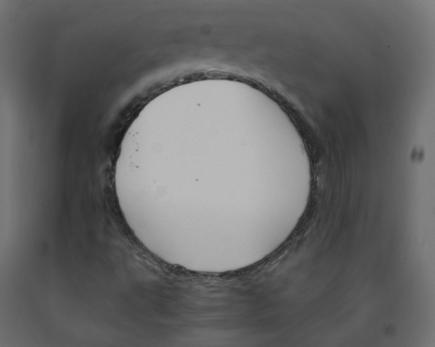 X0000091961495200710041017