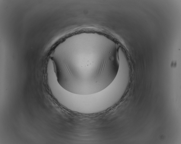 X0000091961496200710041017