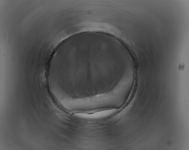 X0000091961497200710041017