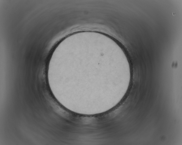 X0000091961498200710041017