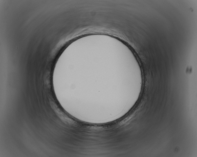 X0000091961499200710041017