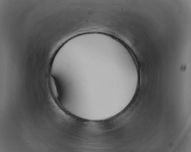 X0000091961500200710041017
