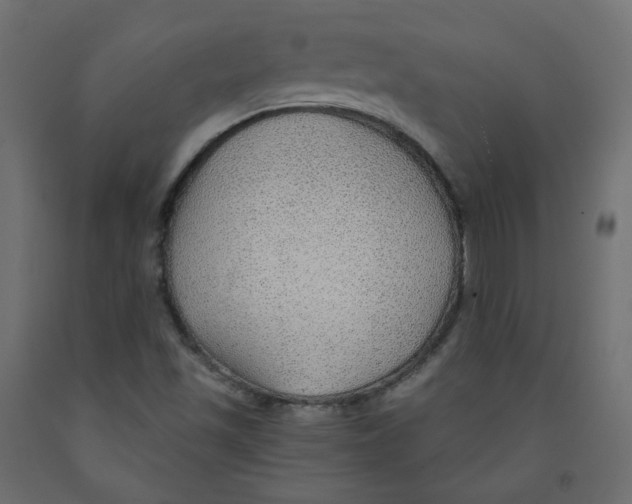 X0000091961501200710041017