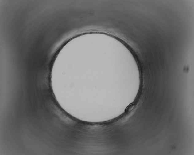 X0000091961502200710041017