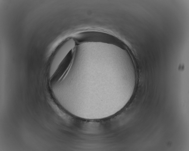 X0000091961503200710041017