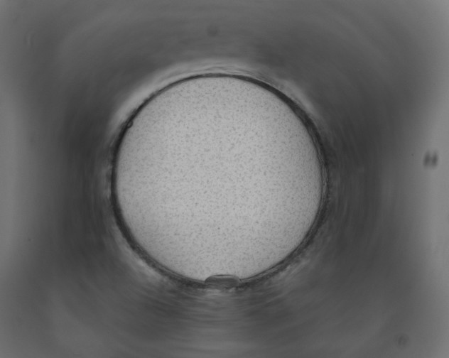X0000091961504200710041017