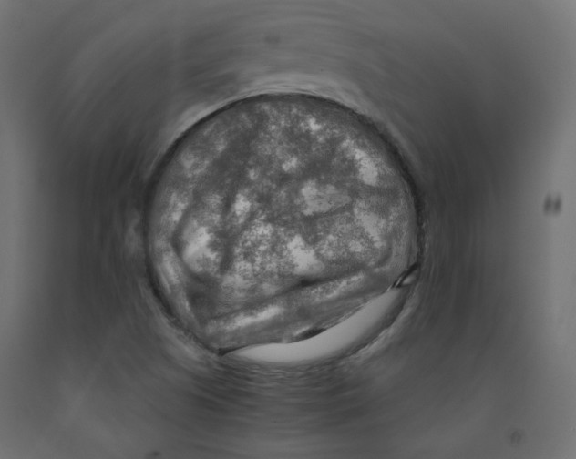 X0000091961505200710041017
