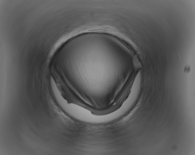 X0000091961506200710041017