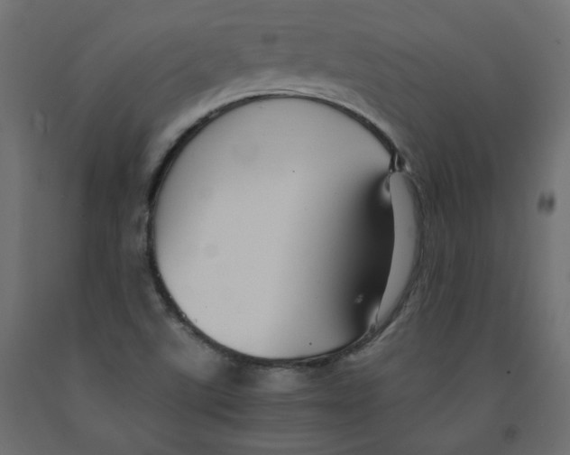 X0000091961507200710041017