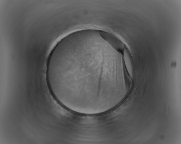 X0000091961508200710041017
