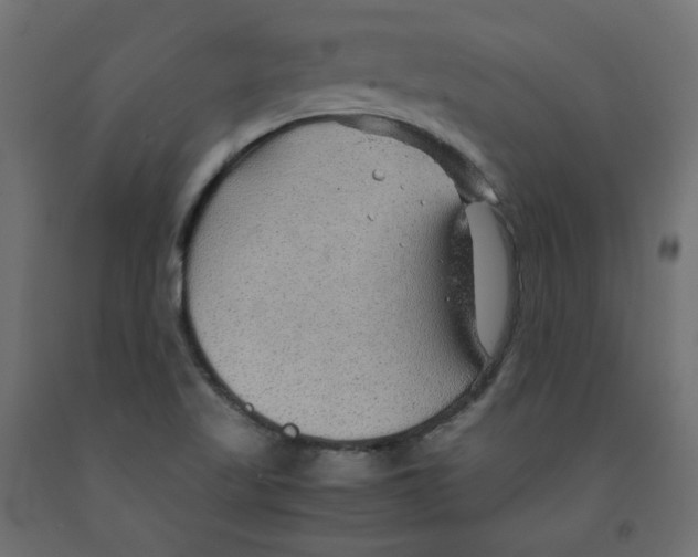 X0000091961509200710041017