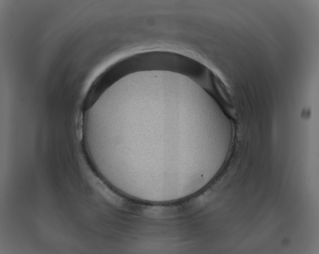 X0000091961510200710041017