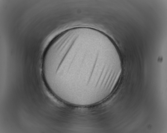 X0000091961511200710041017
